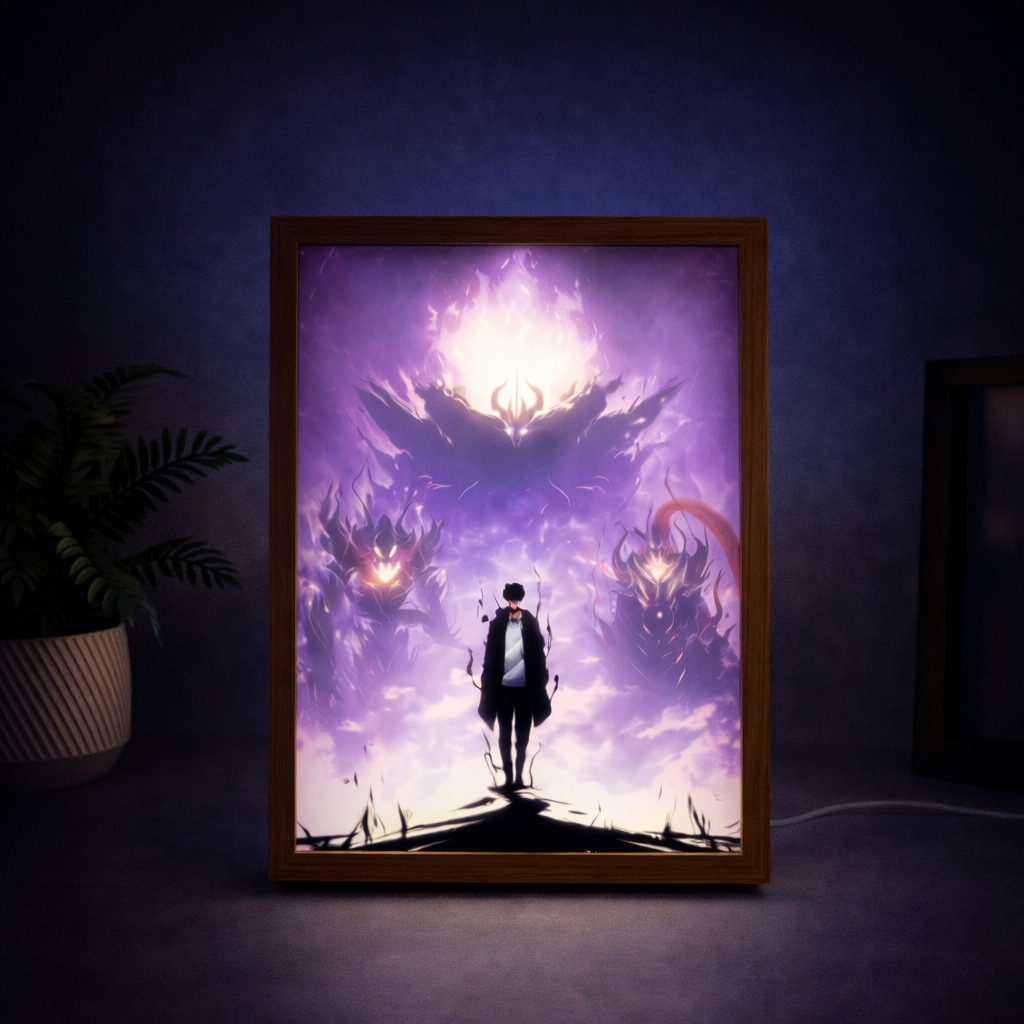 Sun Jin-Woo LED Light Frame