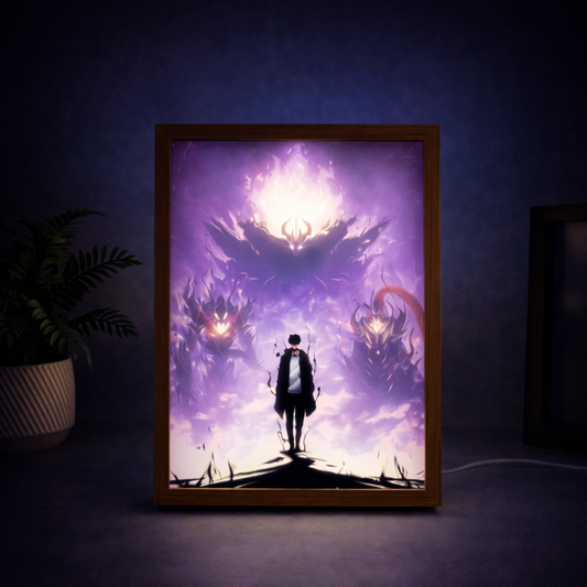 Sun Jin-Woo LED Light Frame